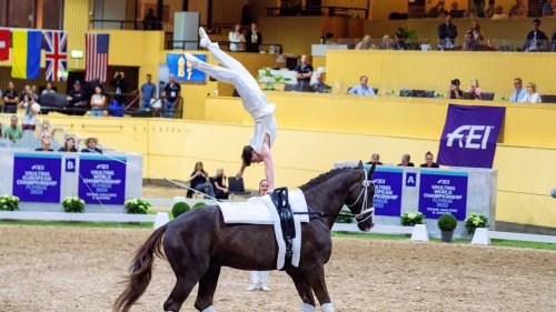 « Encore des rêves plein la tête » : ce Sarthois remporte la finale de Coupe du monde de voltige