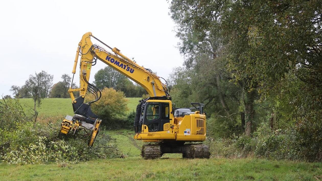 Une journée de sensibilisation pour valoriser le bois bocager à Honfleur