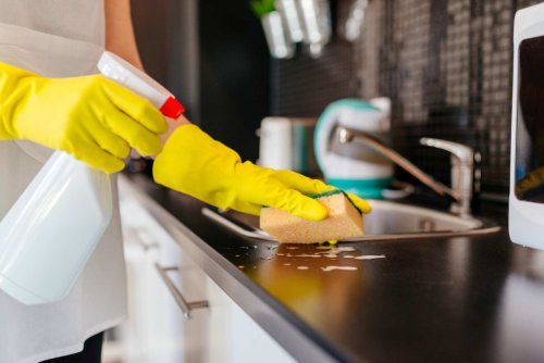 Cet endroit est le plus sale de la cuisine mais aussi le moins bien entretenu : voici pourquoi vous devriez le laver chaque jour