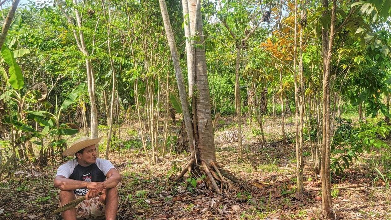 REPORTAGE. En Amazonie, il cultive la terre en harmonie avec la forêt