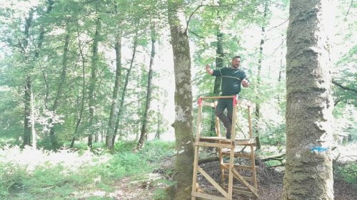 L’objectif de la première saison de chasse traque-affût en forêt de Cerisy a été atteint