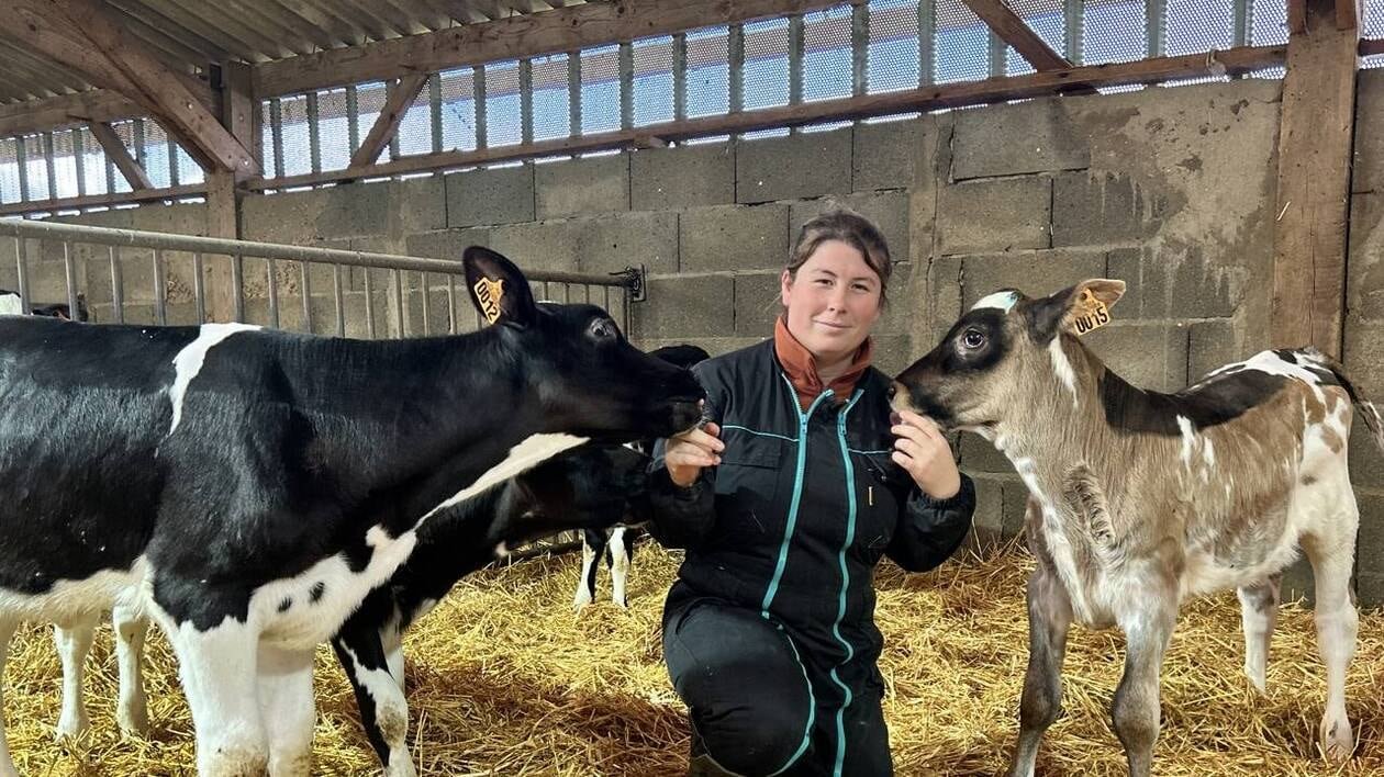 « On vit de notre passion » : le couple se lance dans la production laitière et est récompensé