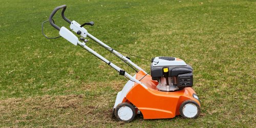 Le mulching, une technique de tonte qui boostera votre gazon pour les mois à venir !