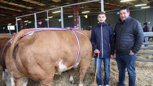 En Mayenne, le concours d’animaux de viande de Noël a rassemblé 220 bêtes à Évron