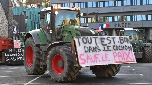 EN IMAGES. Près de 300 éleveurs de porcs attendent devant la préfecture de Saint-Brieuc