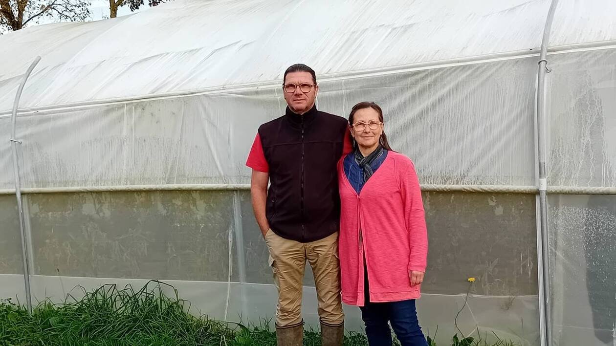 Ils ont quitté le domaine du social pour devenir maraîchers dans les Côtes-d’Armor