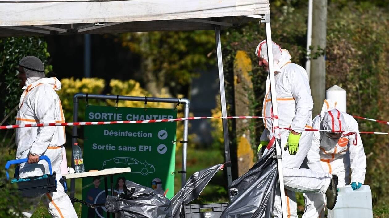 Grippe aviaire : la vigilance renforcée, le risque de transmission à l’humain réévalué