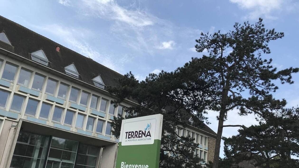 La coopérative mettait trop de temps à régler ses factures : une amende de 452 000 € pour Terrena