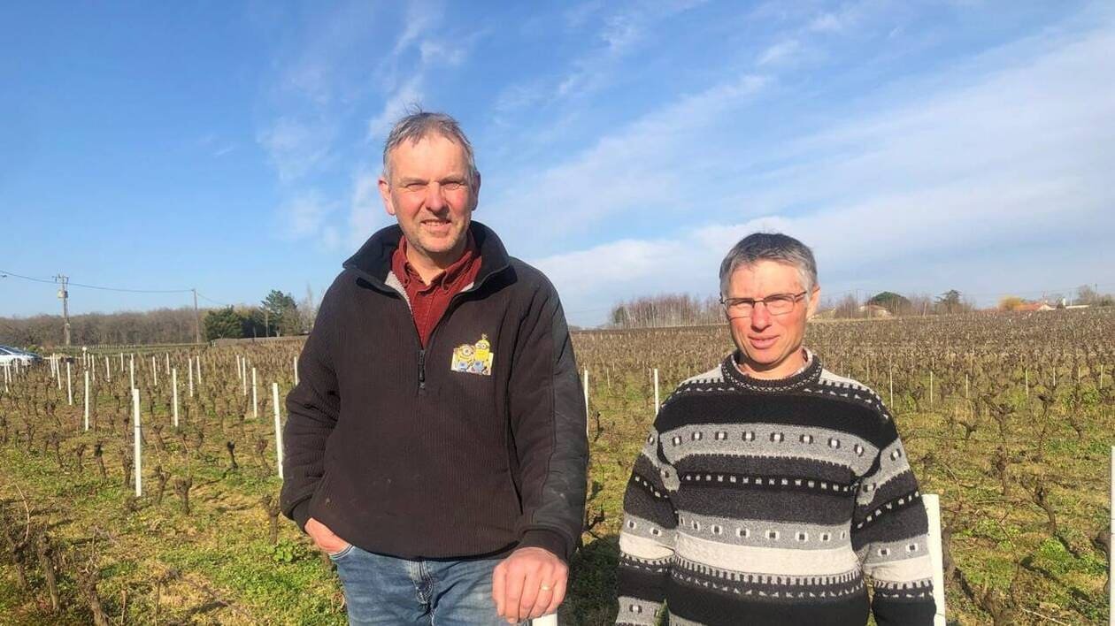 Qui veut déguster le muscadet, en avant-première, vendredi 7 mars dans le vignoble nantais ?