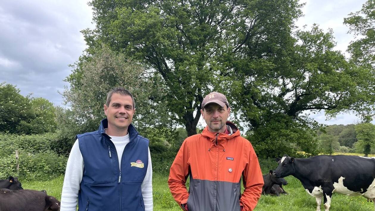 Convoité par des agriculteurs bio et conventionnels, ce terrain agricole divise près de Rennes