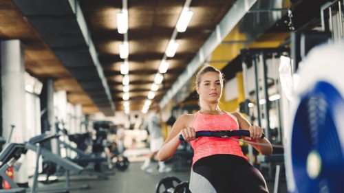 ENTRETIEN. « Il y a un rapport de domination » : la salle de sport est-elle un milieu sexiste ?