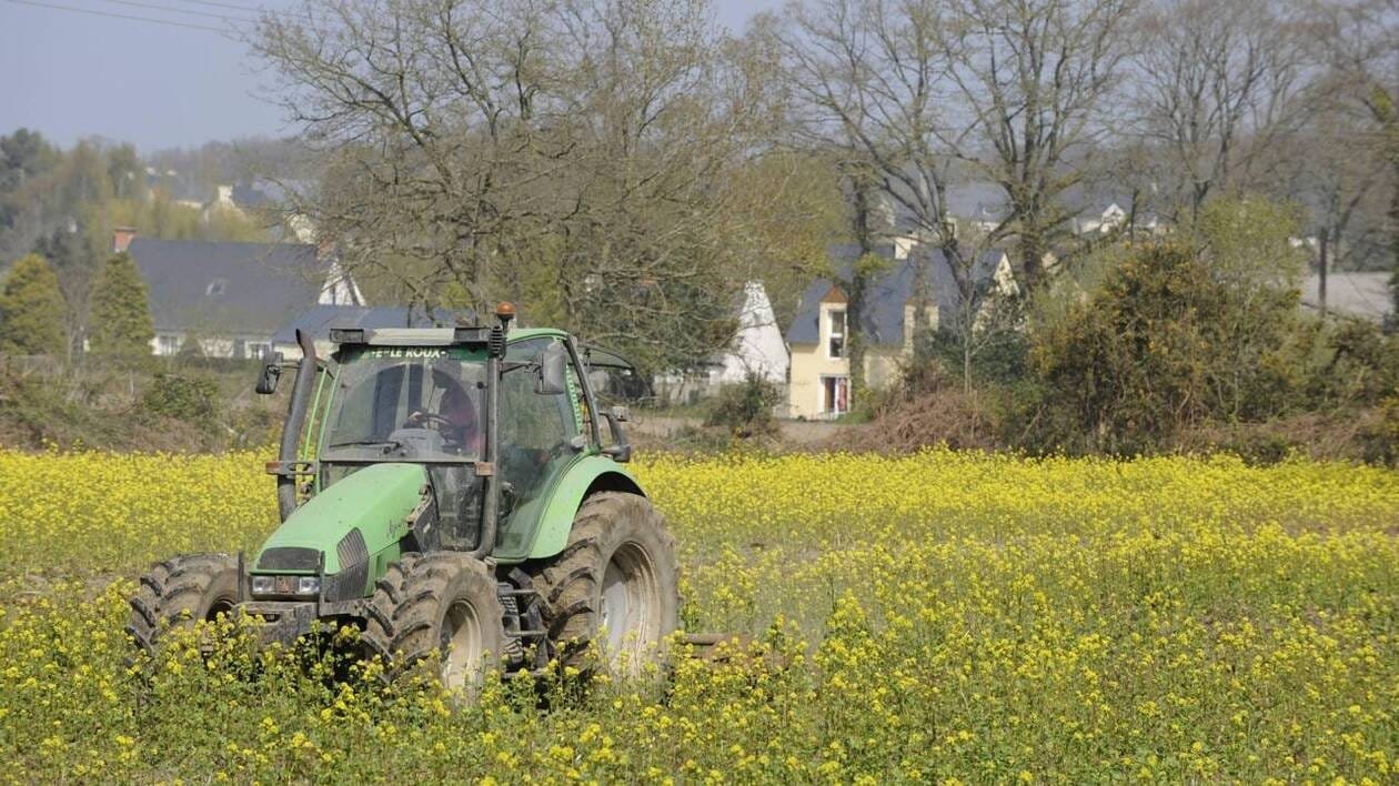 En Pays bigouden, les agriculteurs bio manifestent samedi pour réclamer « un soutien à la filière »