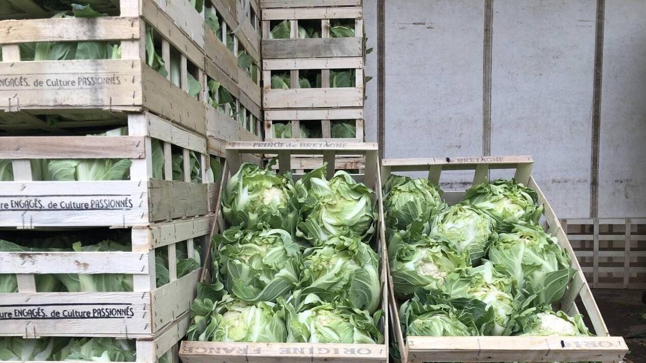 « Davantage de choux-fleurs et légumes dans les cantines » : les élus bretons se mobilisent face à la crise lé