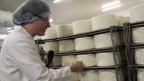 REPORTAGE. Dans les caves de l’Aveyron s’affinent des milliers de tonnes de roquefort