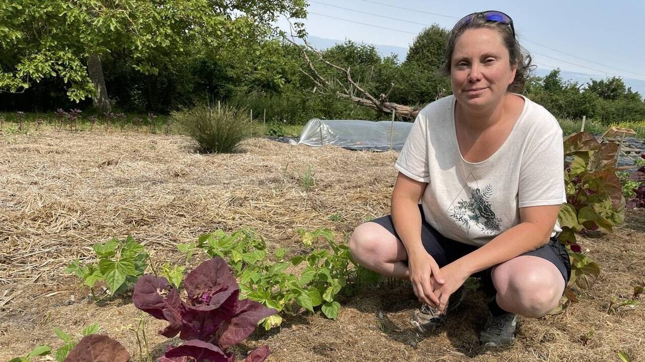Les reconversions, une solution viable pour faire face au vieillissement du monde agricole ?