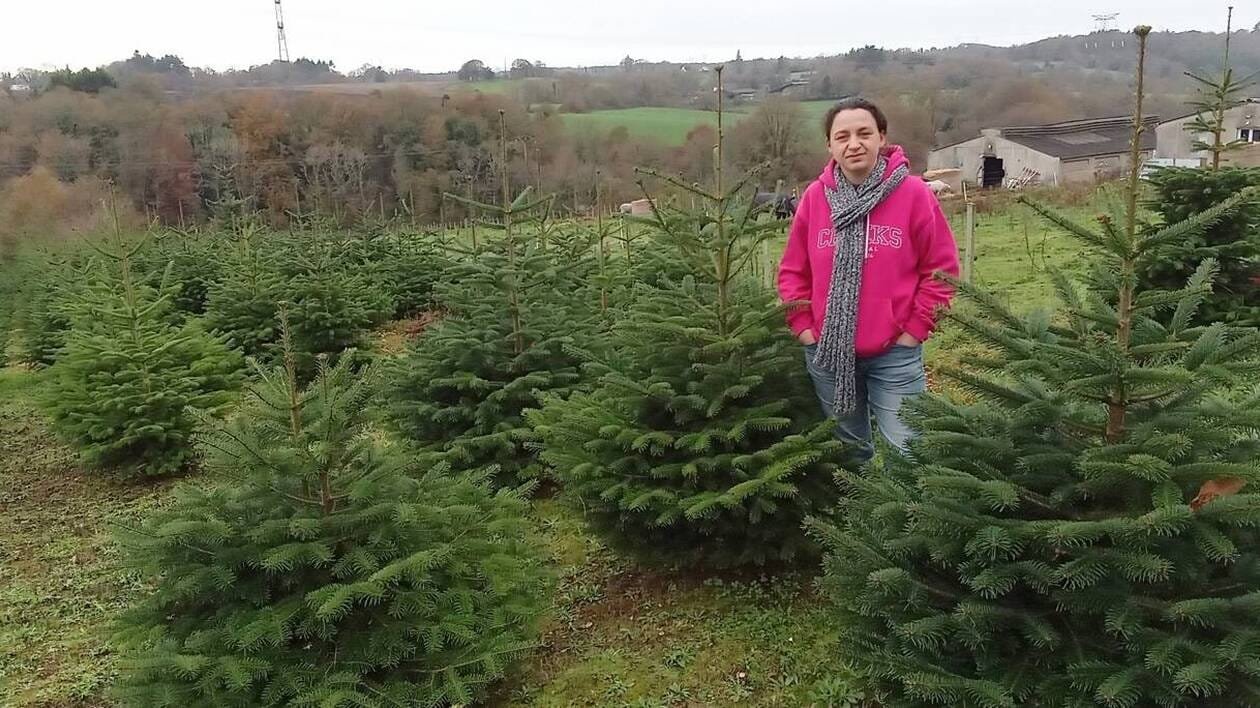 Entre les sapins, les plantes et les abeilles Élodie a trouvé sa voie entre Lanvénégen et Guiscriff