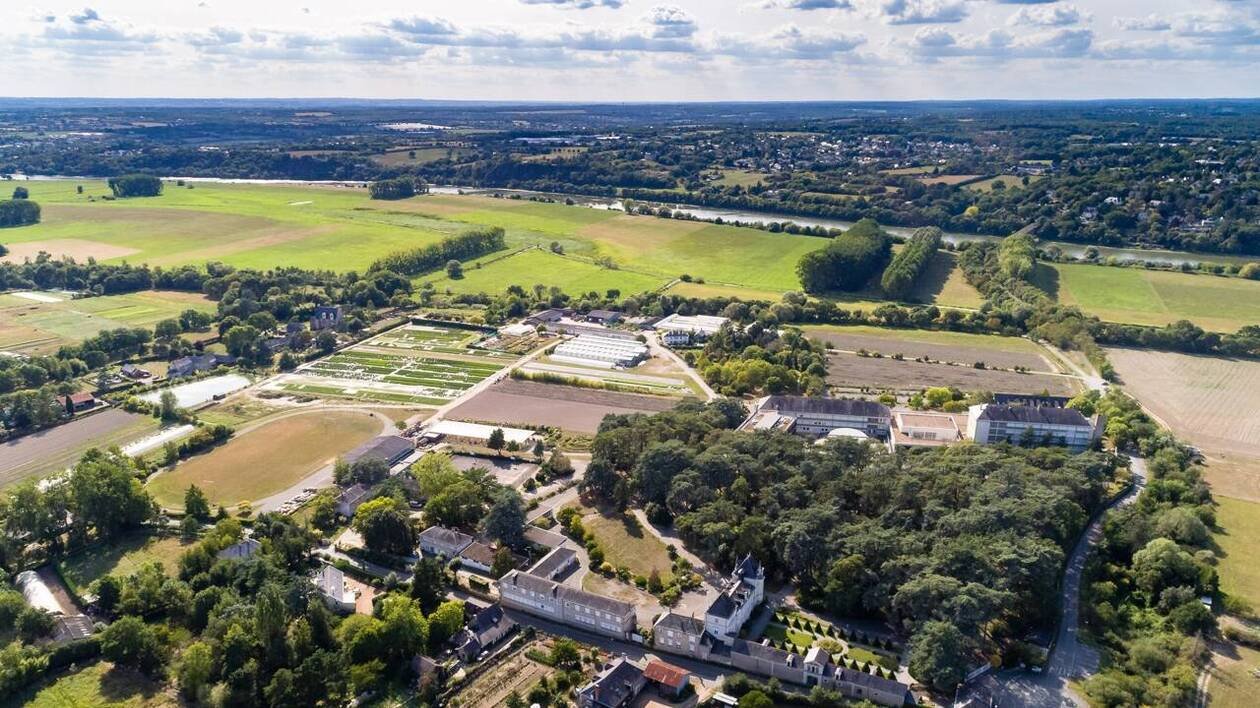L’établissement d’enseignement agricole du Fresne fait découvrir ses formations, près d’Angers