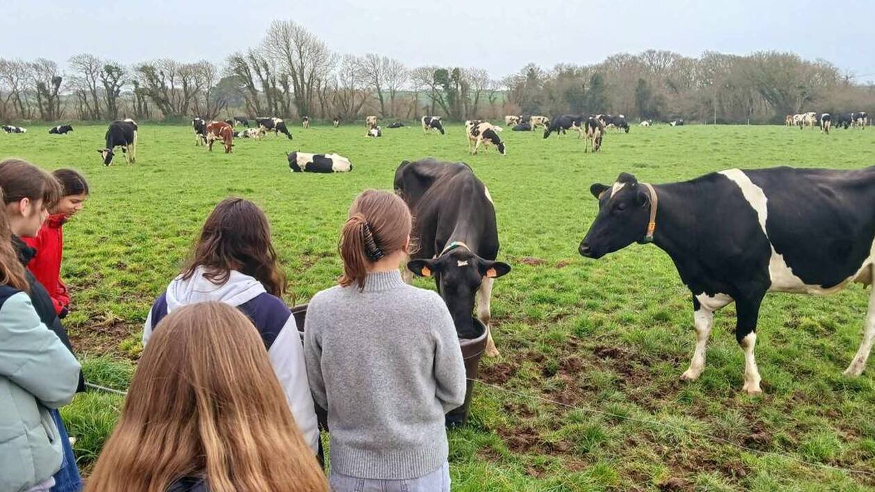 Les collégiens de Ploudalmézeau à la rencontre du monde agricole