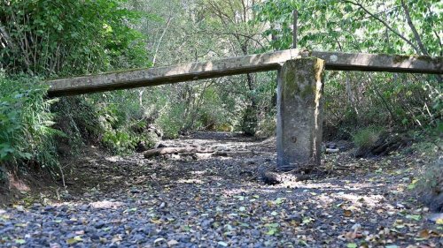 Une rivière sur deux à sec en Ille-et-Vilaine : la situation « toujours tragique pour la faune »