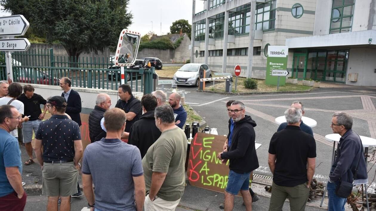 « On se sent abandonnés » : les viticulteurs protestent devant la coopérative Terrena, à Angers