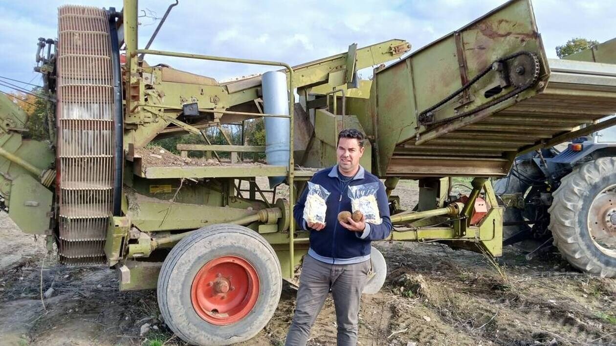 Il ne produit plus de lait mais des patates, coupées en frites fraîches ou surgelées