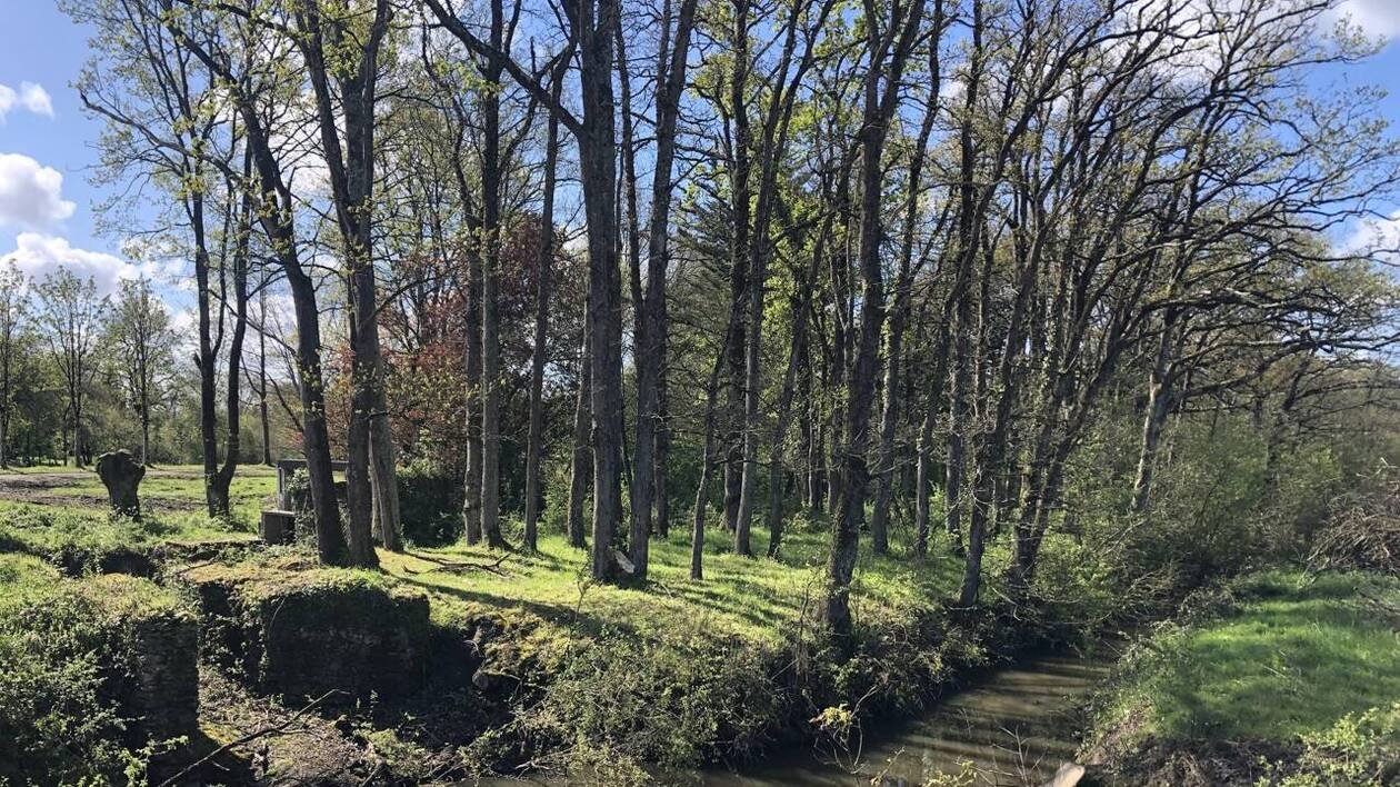 « Guerre de l’eau » en Bretagne : des élus alertent sur la situation en Ille-et-Vilaine