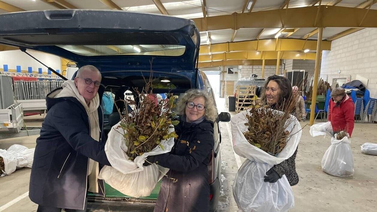 La vente de plants d’arbres à 1,70 € se poursuit à Saint-Lô Agglo