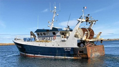 Vers une reprise des activités de transformation du concombre de mer à Saint-Pierre et Miquelon