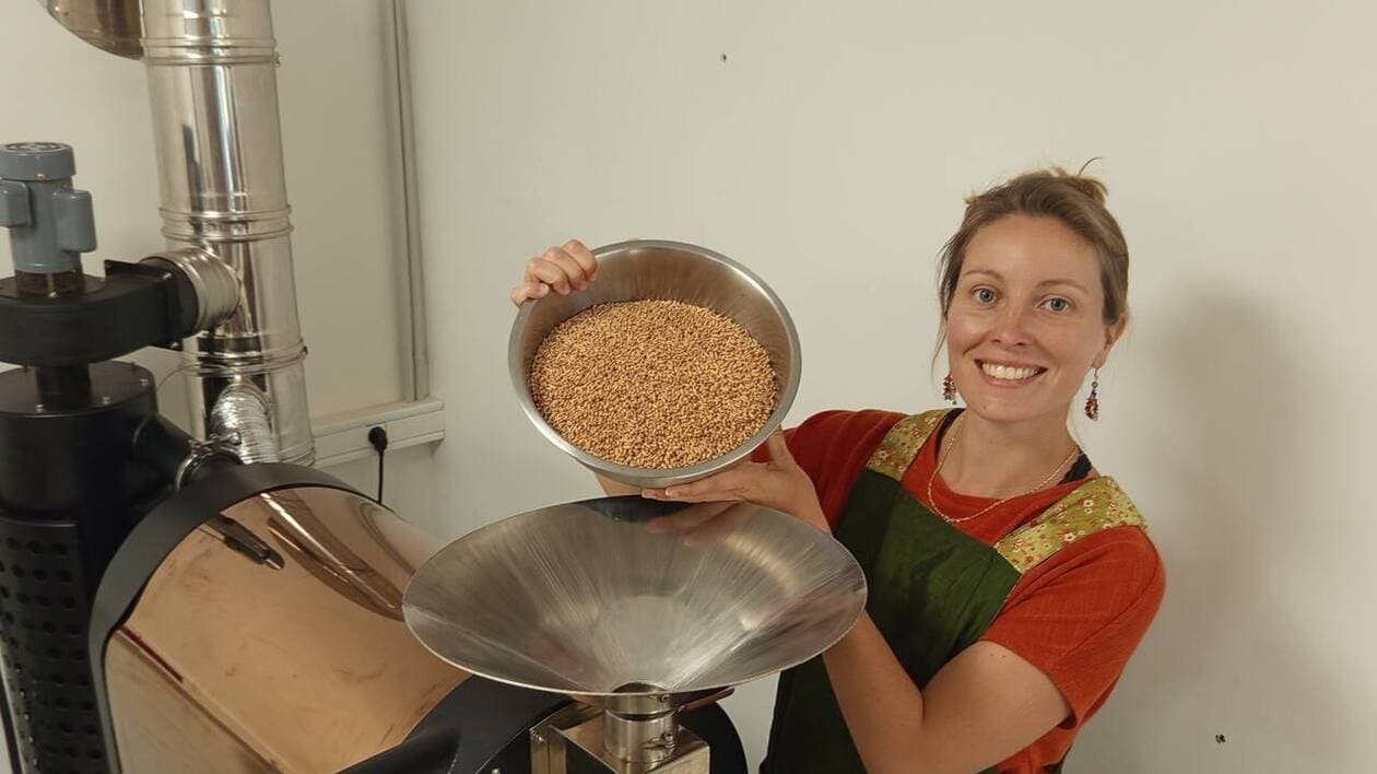 À Brec’h, on torréfie de la graine d’épeautre, « une boisson sans caféine avec bienfaits digestifs »