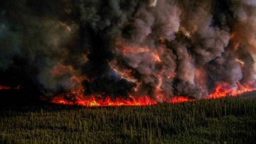 Incendies au Canada : quatre questions sur les feux qui ravagent le pays