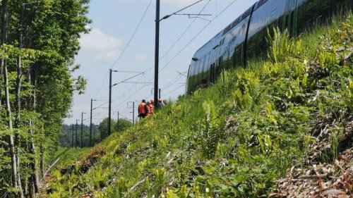 Dans les Côtes-d’Armor, un homme décède après avoir été percuté par un train