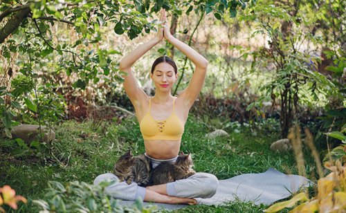 Le cat yoga : de quoi s'agit-il ? Comment pratiquer ?