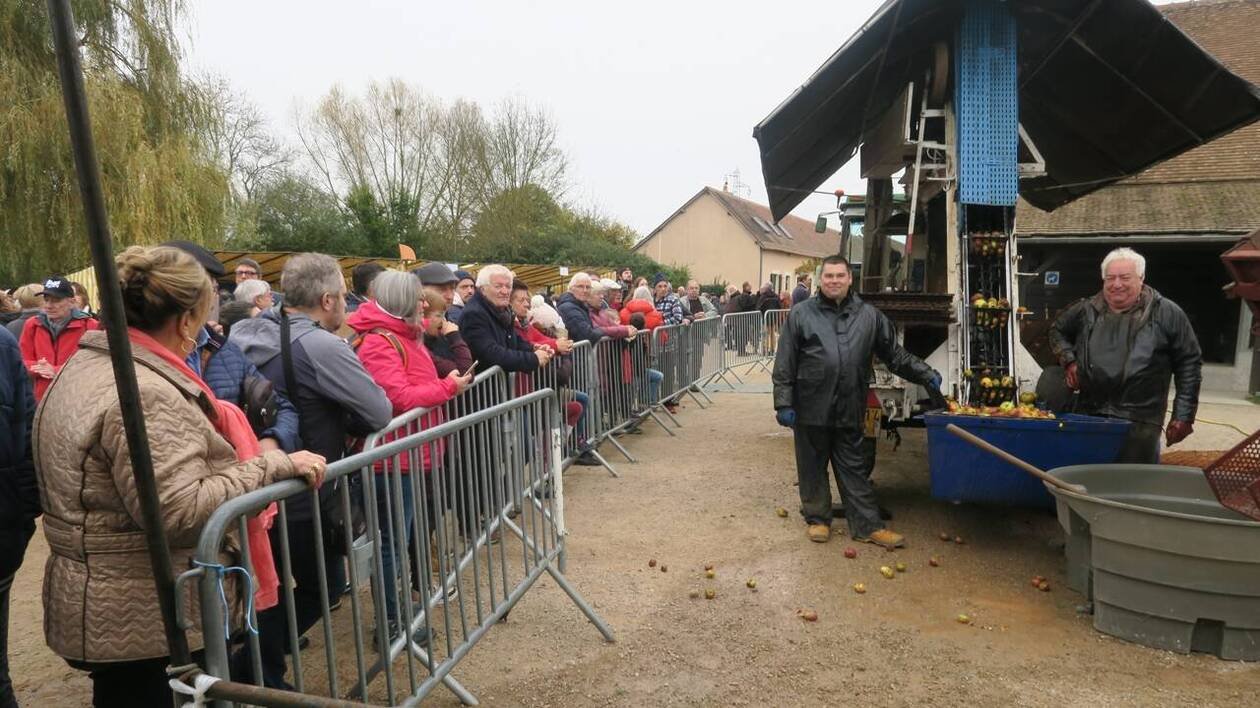 La pomme en fête dimanche à l’Arche de la nature au Mans
