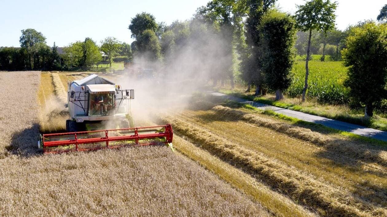 Un forum professionnel pour mettre en lien les commerçants et les producteurs du pays de Fougères