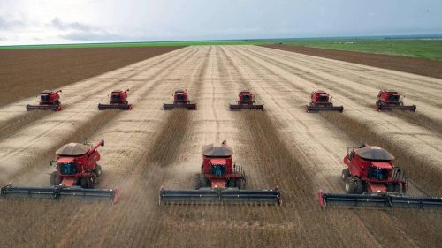 Une chercheuse du Brésil reçoit 500 000 dollars pour avoir révolutionné l’agriculture sans engrais