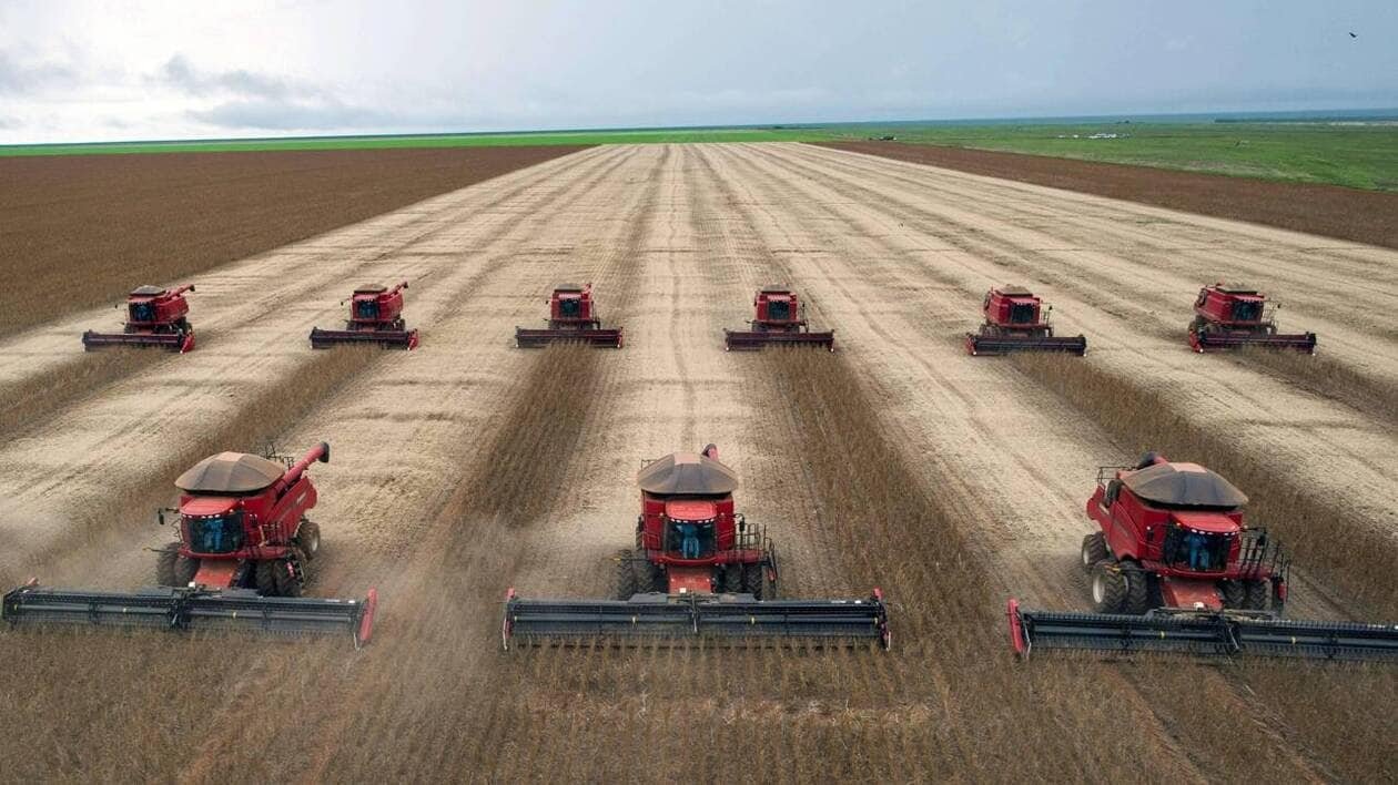 Une chercheuse du Brésil reçoit 500 000 dollars pour avoir révolutionné l’agriculture sans engrais