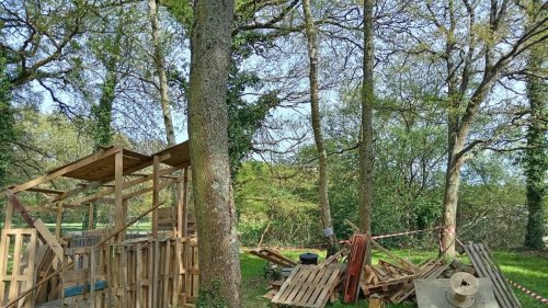 « Une volonté de nuire » : au sud de Rennes, la cabane construite par les enfants saccagée