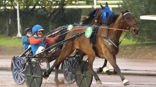 Critérium de vitesse à Cagne. Émeraude de Bais au sommet, Go on Boy au galop, Étonnant de retour