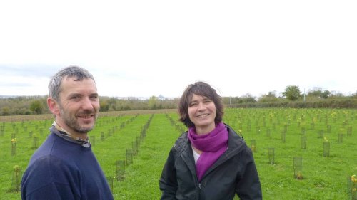 Un vignoble implanté dans la Baie du Mont-Saint-Michel, l’idée un peu folle de deux néo-viticulteurs