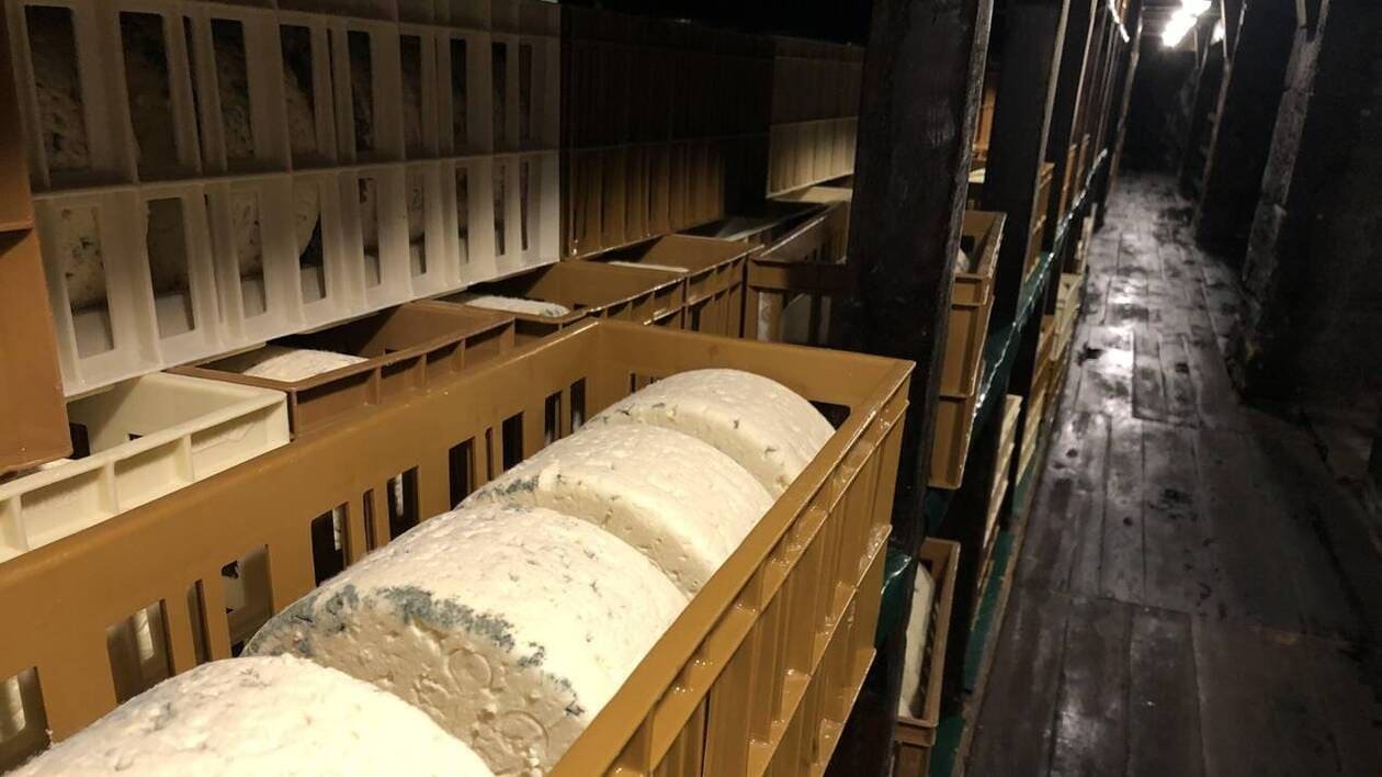 La Chine annonce de nouvelles taxes sur les produits laitiers européens, les agriculteurs français sur leurs g