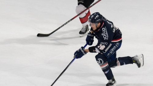 Hockey sur glace. Dites, les Ducs d’Angers, comment on gagne une Ligue Magnus ?