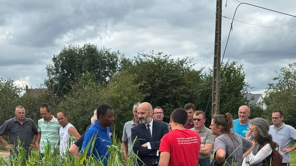 « Le travail de l’année parti en fumée »: les agriculteurs normands à nouveau touchés par les orages
