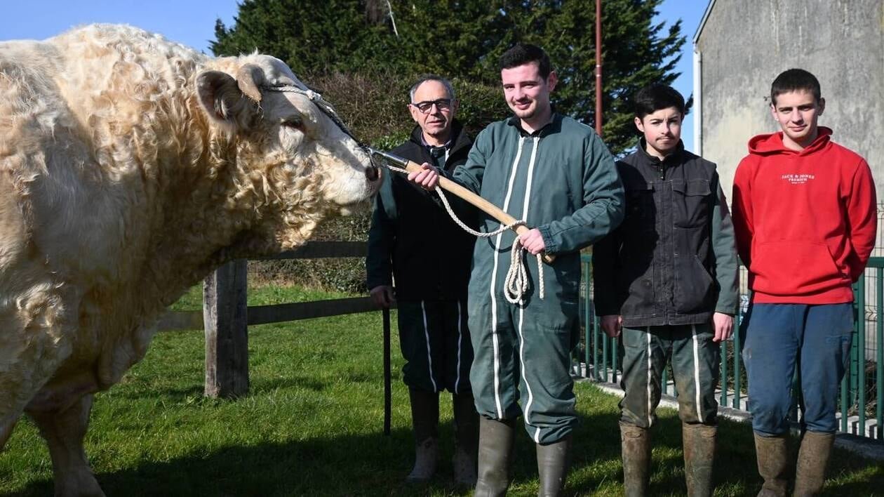 Avec Rameau, son taureau de 1 600 kg, cet éleveur normand espère un prix au salon de l’agriculture