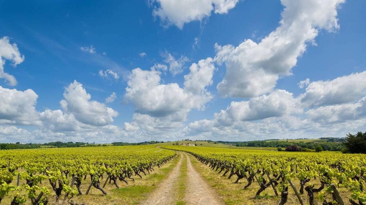 Que faire ce week-end du 10 mai ? Voici nos idées de sortie dans le vignoble nantais