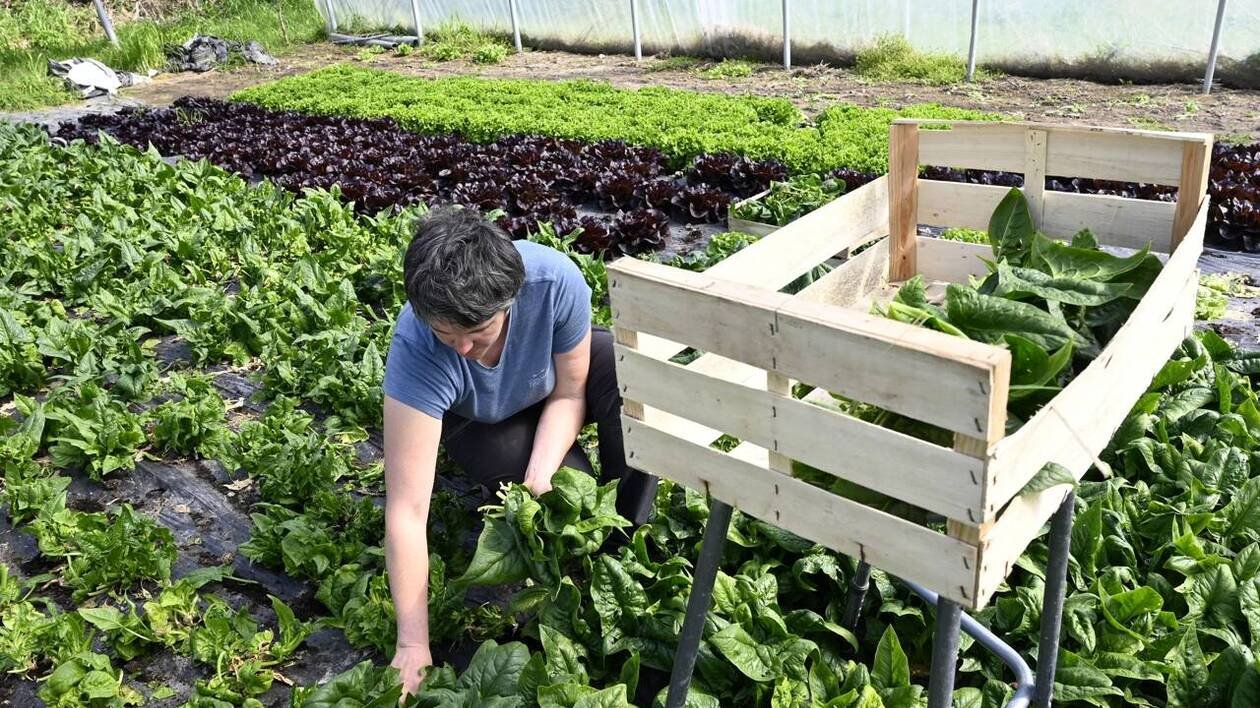 Les Journées nationales de l’agriculture, du 6 au 9 juin, pour rapprocher citoyen et monde agricole