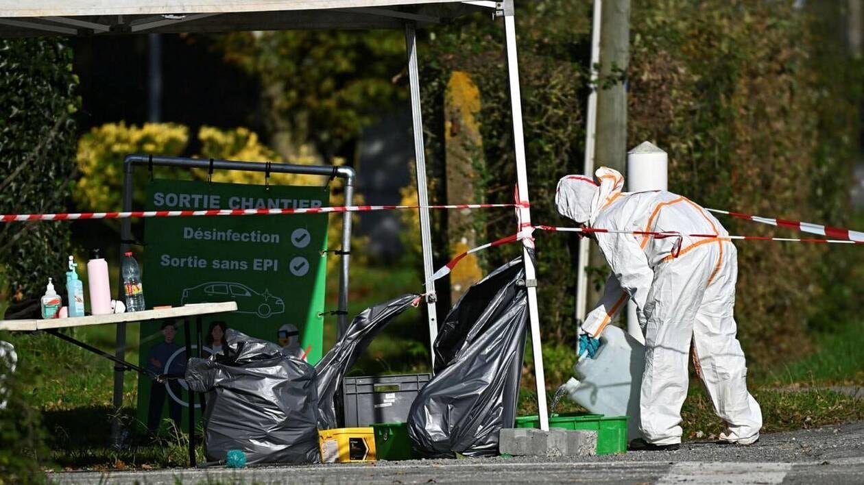 Grippe aviaire au sud de la Loire-Atlantique : la préfecture déconseille les balades au bord des lacs et des r