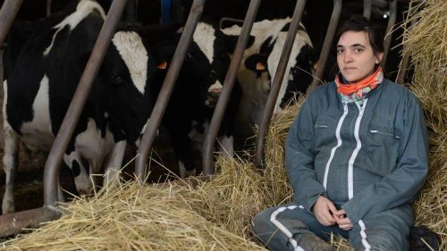 Crise du lait bio : maîtriser ses charges, la clé ?