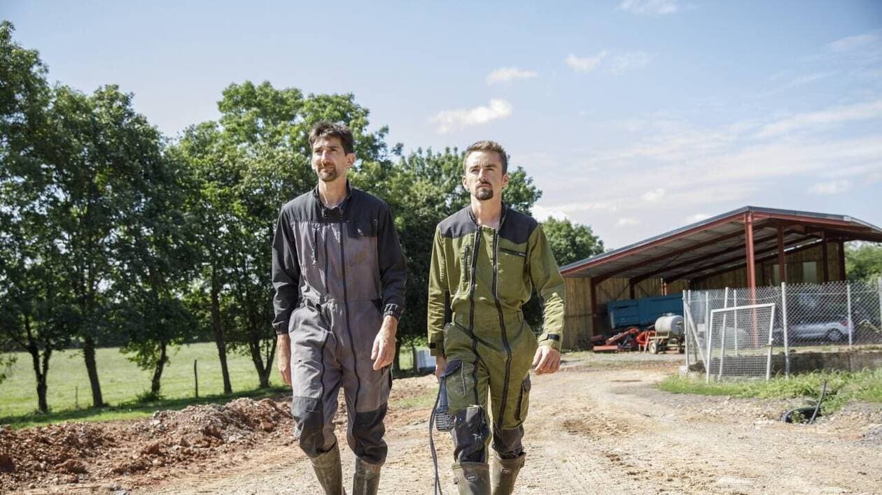 «Ils m’ont émue» : Étienne et Fabien, les deux frères de la Manche de «L’Amour est dans le pré» ont touché le