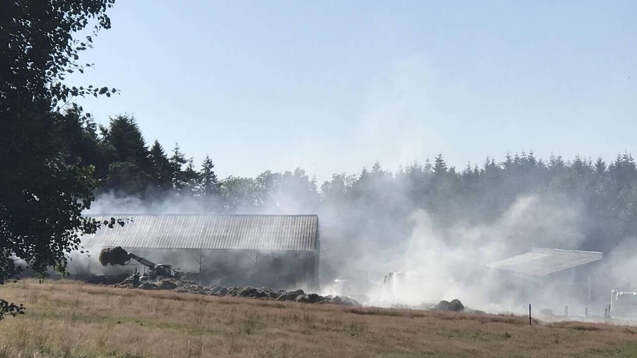 Un important incendie dans un hangar agricole en Anjou : 200 tonnes de paille et des engins détruits