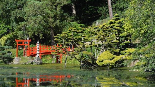 Célébrer le retour du printemps au parc oriental de Maulévrier